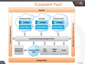Ecosystem PaaS